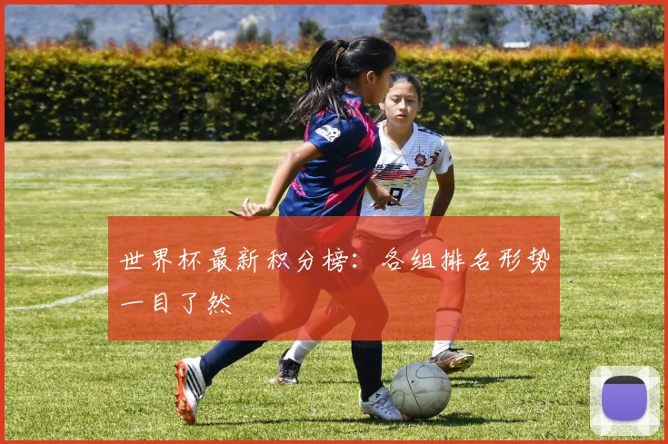 世界杯最新积分榜:各组排名形势一目了然